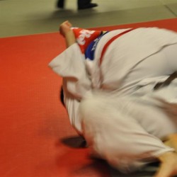 DSC 0102  Medium - Judoclub Zaventem 